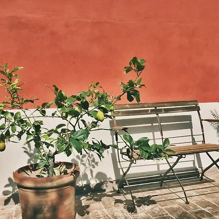 Giardino Dei Sugheri