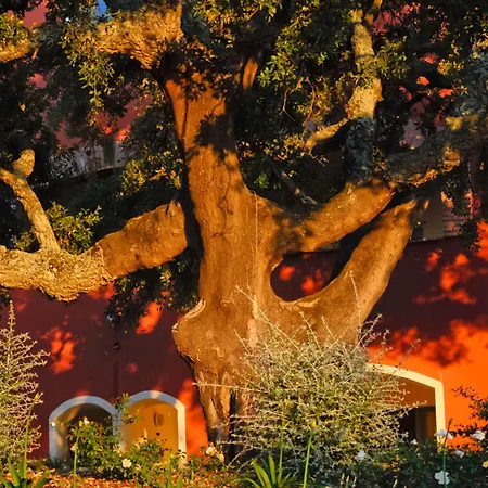 Giardino Dei Sugheri 3* Scarlino