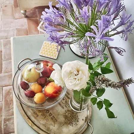 Bed & Breakfast Giardino Dei Sugheri Scarlino