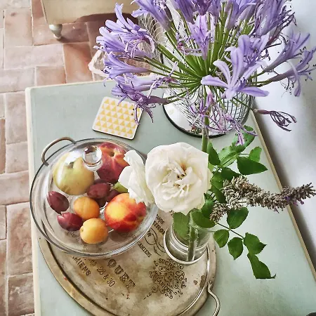 Giardino Dei Sugheri Bed & Breakfast Scarlino
